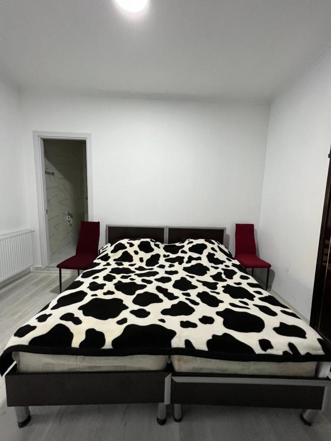 Guest House Lali ซิคนาคี ภายนอก รูปภาพ